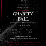 CharityBall (2)